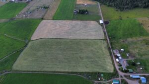 Our Story –  –  by Montana Kid