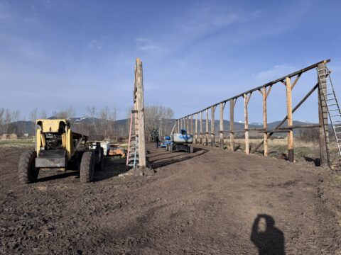 Our Story –  –  by Montana Kid