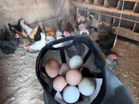 Our Story –  –  by Montana Kid