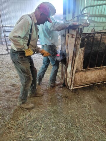 Our Story –  –  by Montana Kid