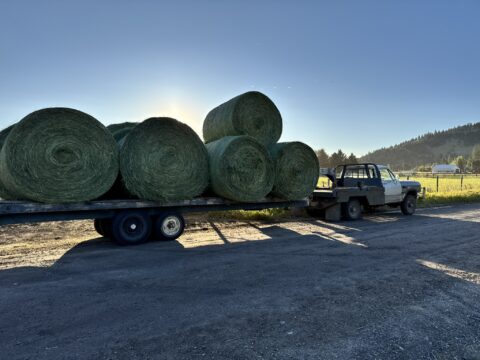 Our Story –  –  by Montana Kid