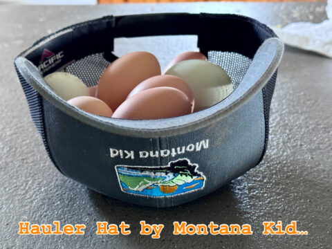 Our Story –  –  by Montana Kid